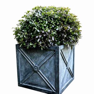 HS-P016 Cast Iron Planter – The European Charm That Sells Itself to Garden lovers - Product view
